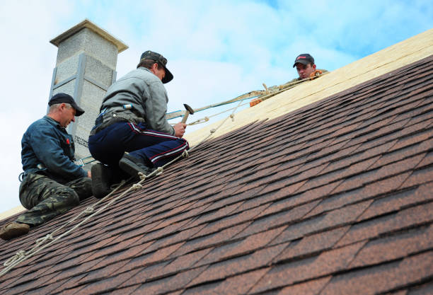 Best Storm Damage Roof Repair  in Cabot, AR